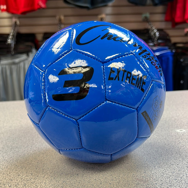 Champion 2024 sports ball